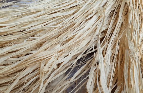 what is raffia